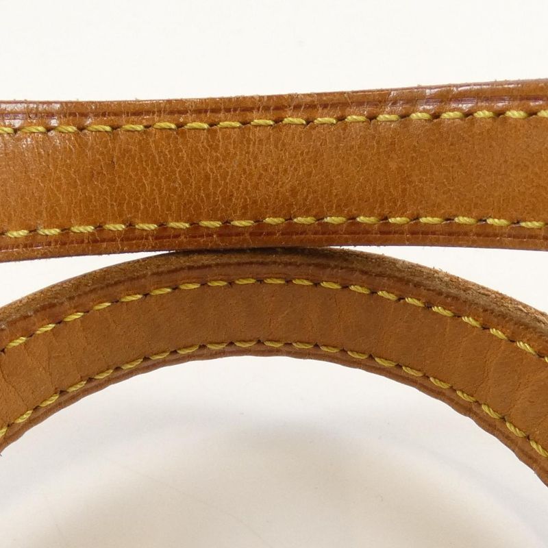 Louis Vuitton Monogram Vavin PM M51172 Bag