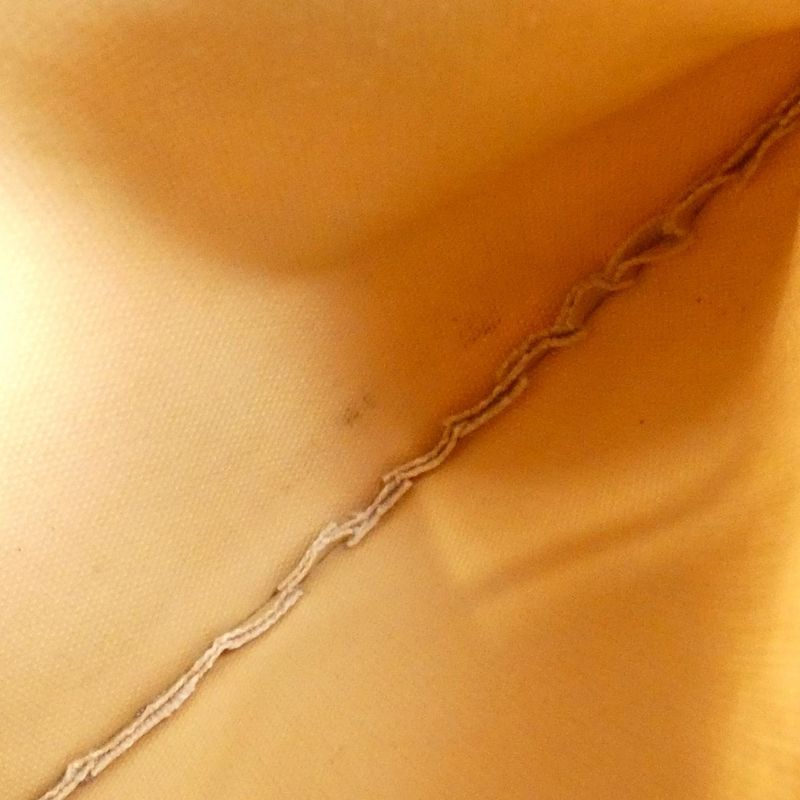 Louis Vuitton Damier Azure Speedy 25cm (9.84in) N41534 Boston Bag