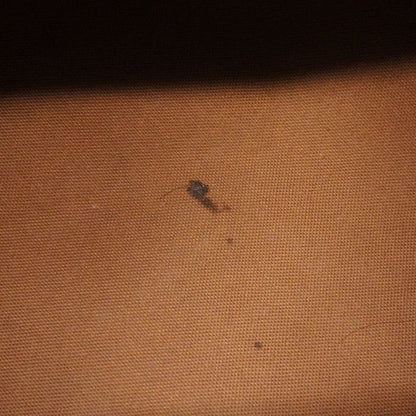 Louis Vuitton Handbag Monogram Speedy 30 M41108 Brown Ladies