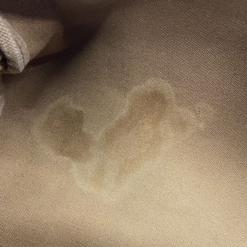 Louis Vuitton Handbag Monogram Speedy 30 M41108 Brown Ladies