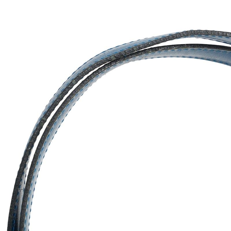 Louis Vuitton Epi Saint-jacques Shopping Tote Bag Shoulder Bag M52265 Toledo