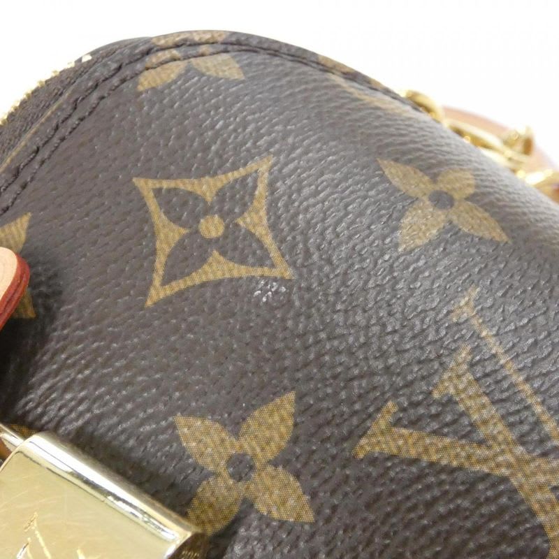 Louis Vuitton Monogram Just in Case Shoulder Bag