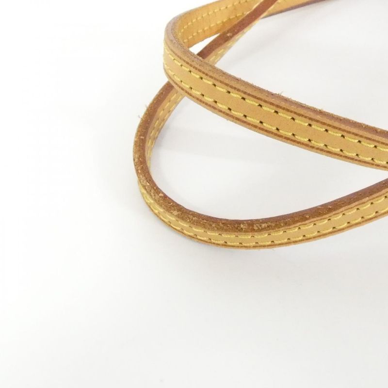 Louis Vuitton Monogram Hand Neverfull PM M95559 Bag