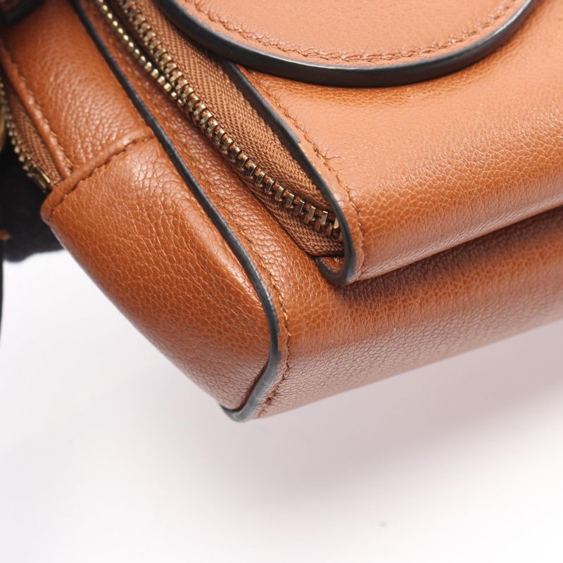 Dior Shoulder Bag Double Saddle Pouch Brown Leather Double Saddle Pouch