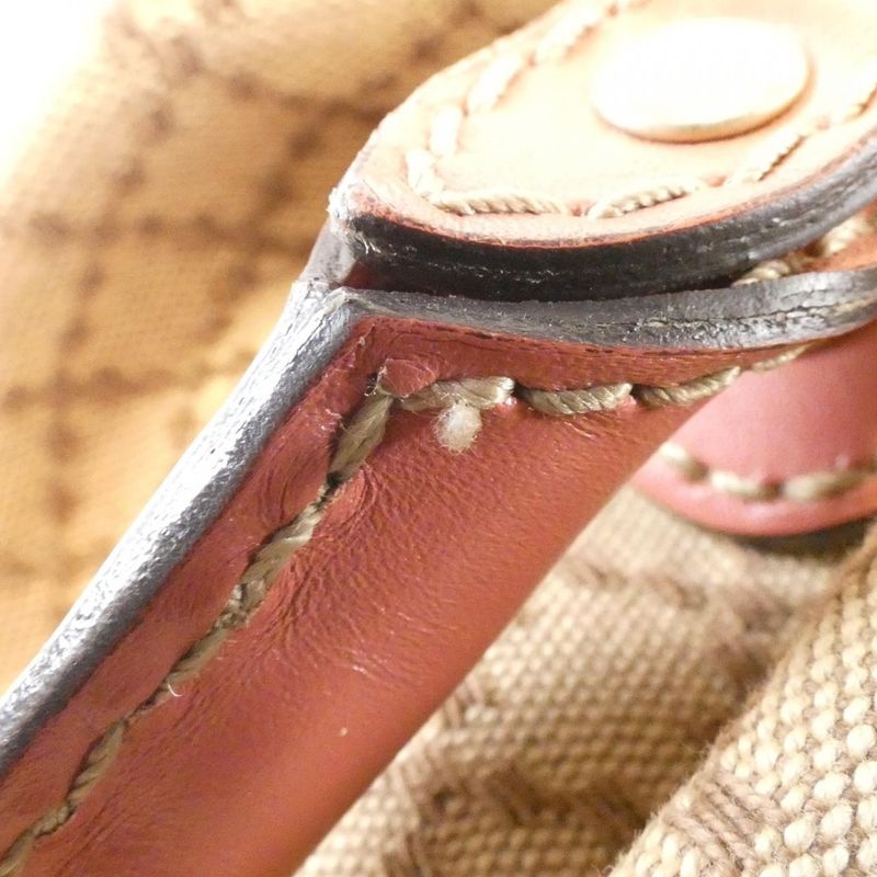 Gucci 247902 Fageg Bag