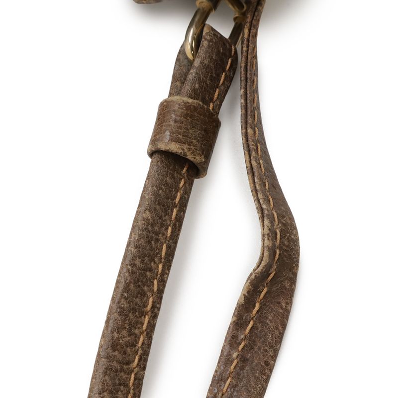 Gucci Old Gucci GG Plus Sherry Line Shoulder Bag Pochette 2way Clutch Bag PVC