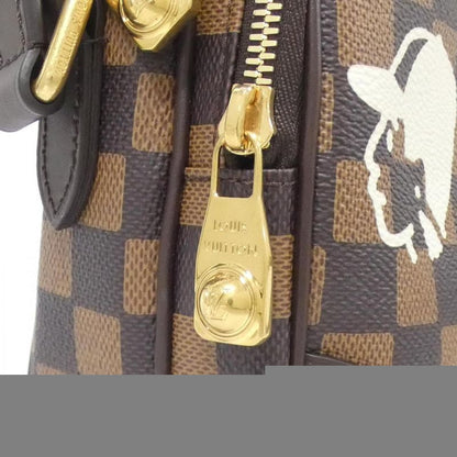 Louis Vuitton Damier Friendship Amazon N40768 Shoulder Bag