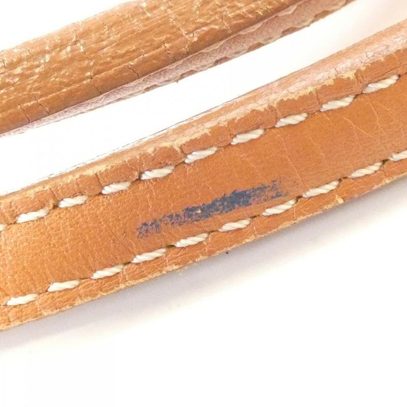 Goyard Saint Louis AMA Louis PM Bag