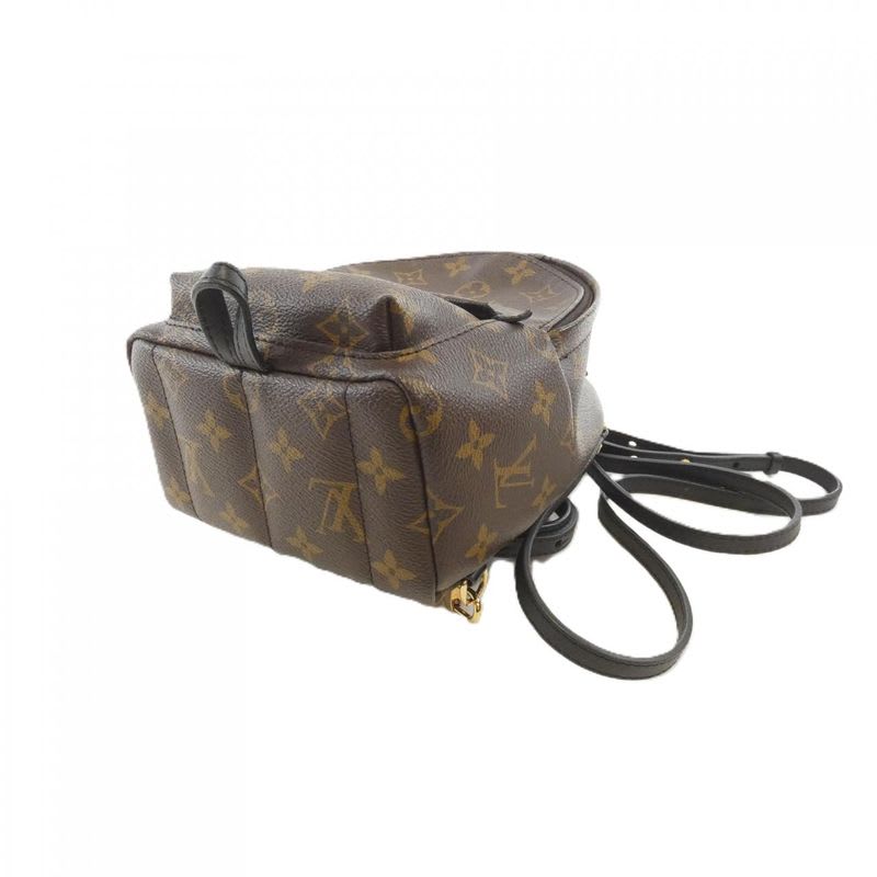 Louis Vuitton Monogram Palm Springs Backpack Mini Rucksack Sac