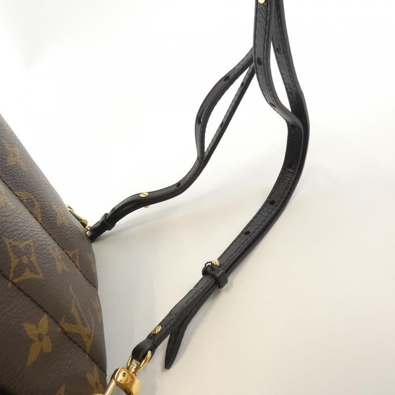 Louis Vuitton Monogram Palm Springs Backpack Mini Rucksack Sac