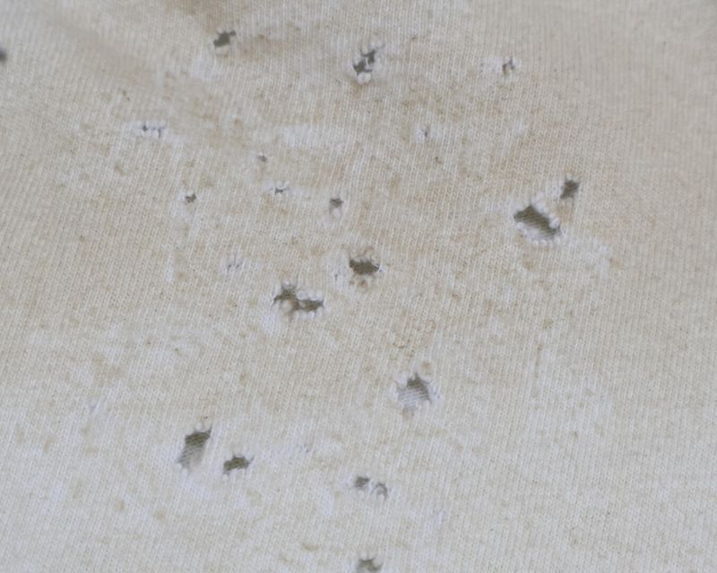 Balenciaga [made In 22 Years] 739028 Distressed Short Sleeve T-shirt L