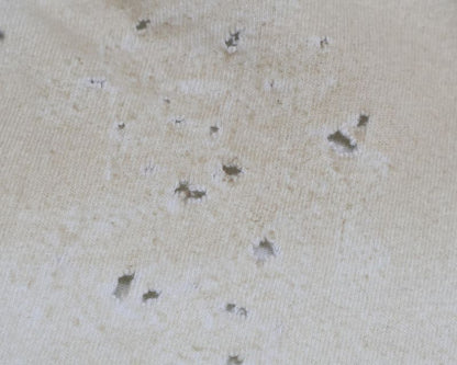 Balenciaga [made In 22 Years] 739028 Distressed Short Sleeve T-shirt L