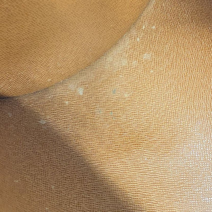 Louis Vuitton Handbag Monogram Papillon 30 M51385 Brown Ladies