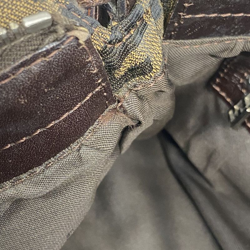 Fendi Handbag Zucca Nylon Canvas Brown Silver Hardware Women