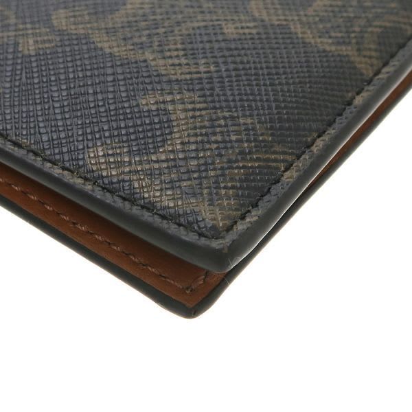 Celine Passport Cover Triomphe Canvas 4 M3432 Ak1.04 bt