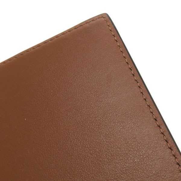 Celine Passport Cover Triomphe Canvas 4 M3432 Ak1.04 bt