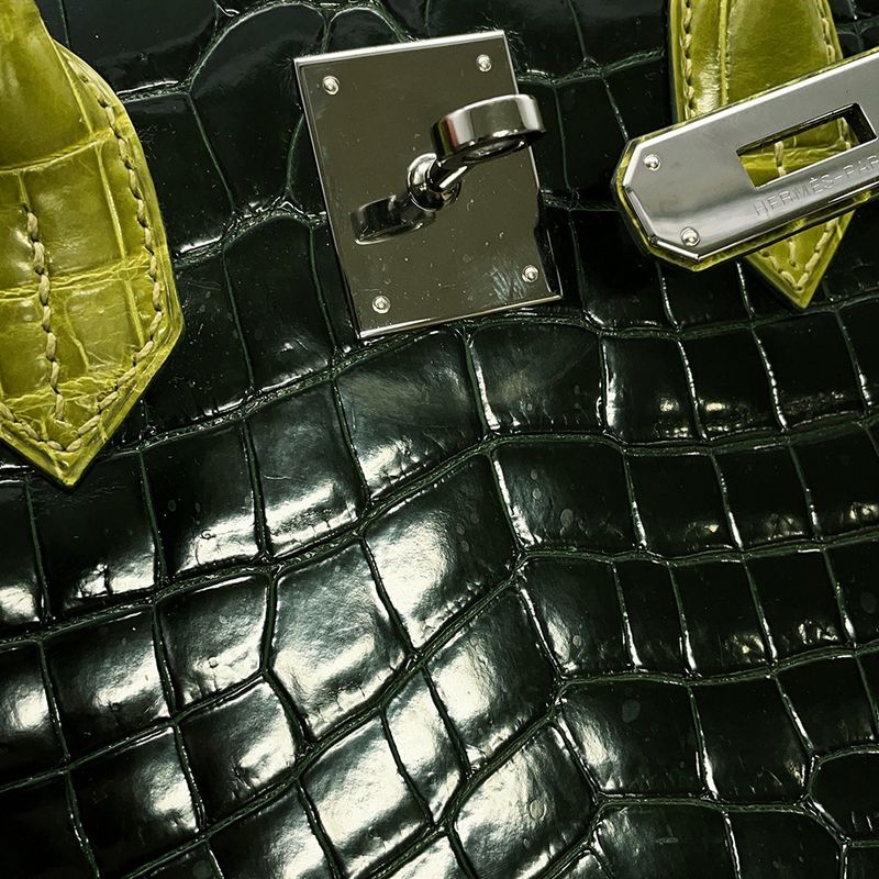 Hermes Birkin 30 Green Anise Ruthenium Handbag Green Anise