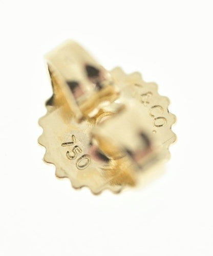 Tiffany & CO Earrings Ladies []