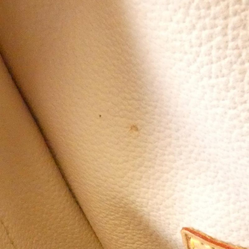 Louis Vuitton Monogram Spontini M47500 Bag