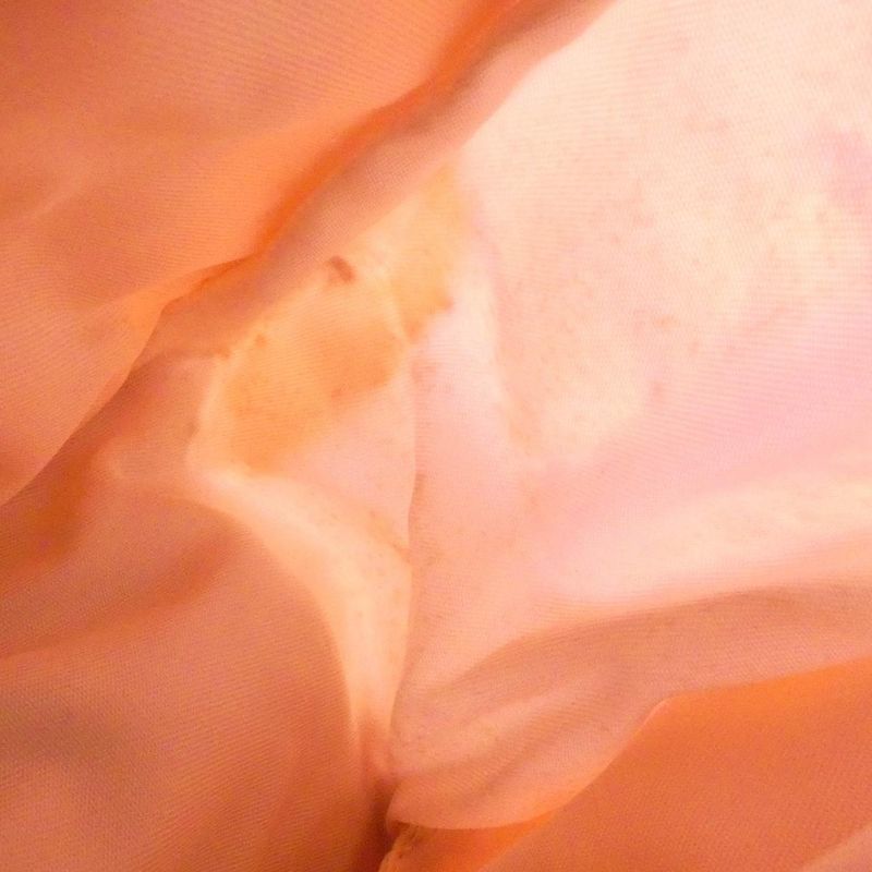 Chanel Travel Line Bag