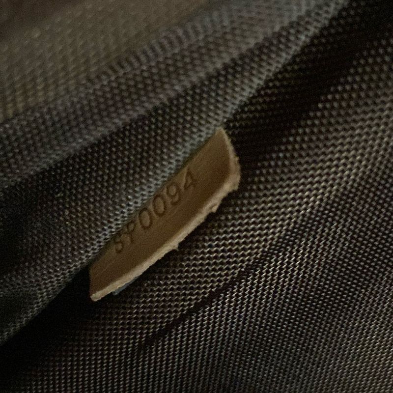 Louis Vuitton Carry Bag Monogram Pegase 70 M23248