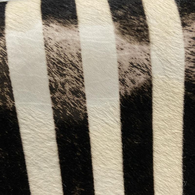 Saint Laurent Paris Shoulder Bag Spontini Satchel Small 512853 Black X Ivory