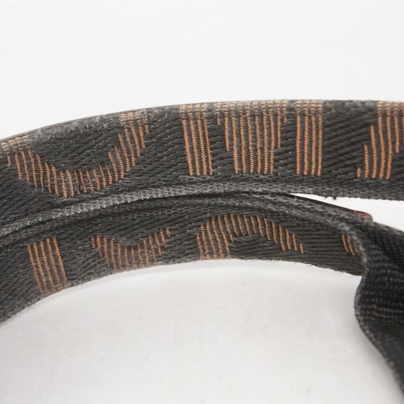 Fendi Tote Bag Zucca Nylon Canvas Brown Silver Hardware Ladies