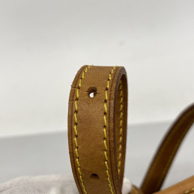 Louis Vuitton Tote Bag Monogram Bucket PM M42238 Brown Ladies