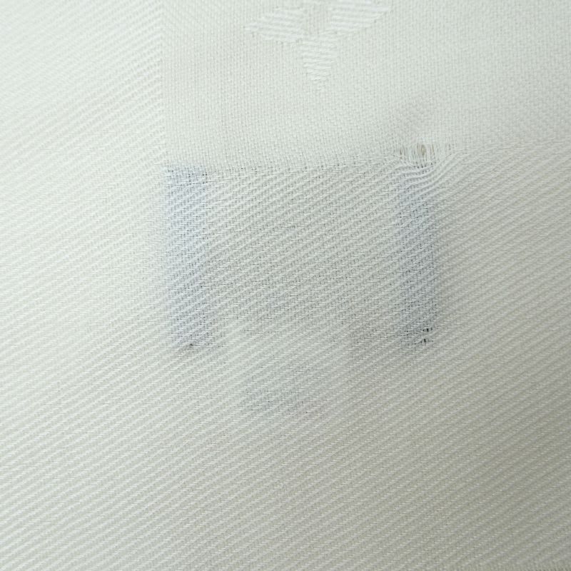 Louis Vuitton Shawl Monogram