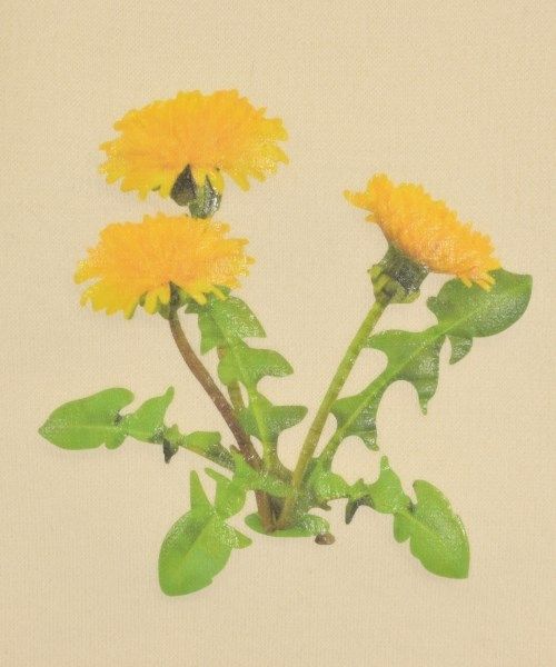 Loewe Knit Sweater Women's []