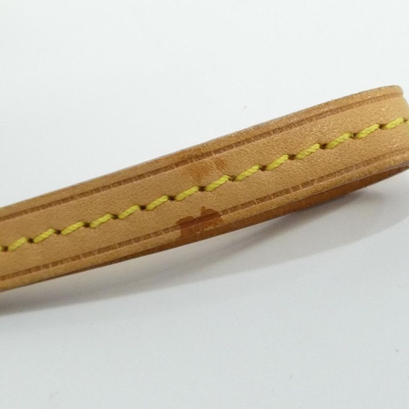 Louis Vuitton Multicolor Wapiti M58033 Pouch