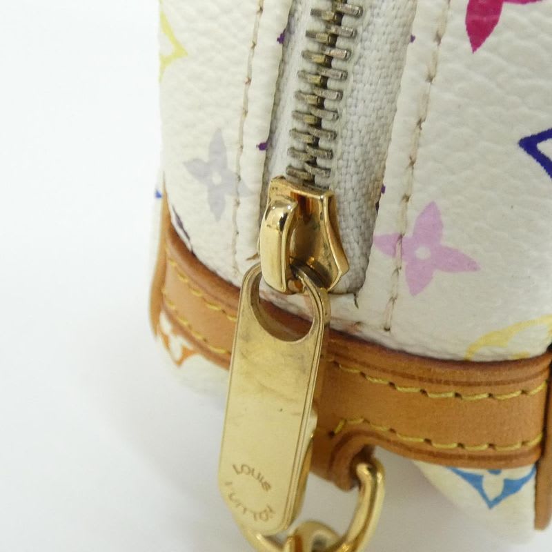 Louis Vuitton Multicolor Wapiti Pouch