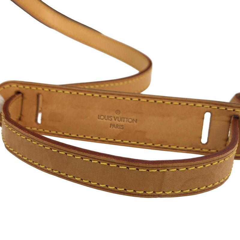 Louis Vuitton Monogram Blois M51221 Shoulder Bag