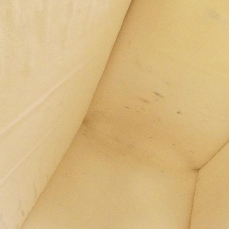 Christian Dior Book Tote Medium M1296zddu Bag