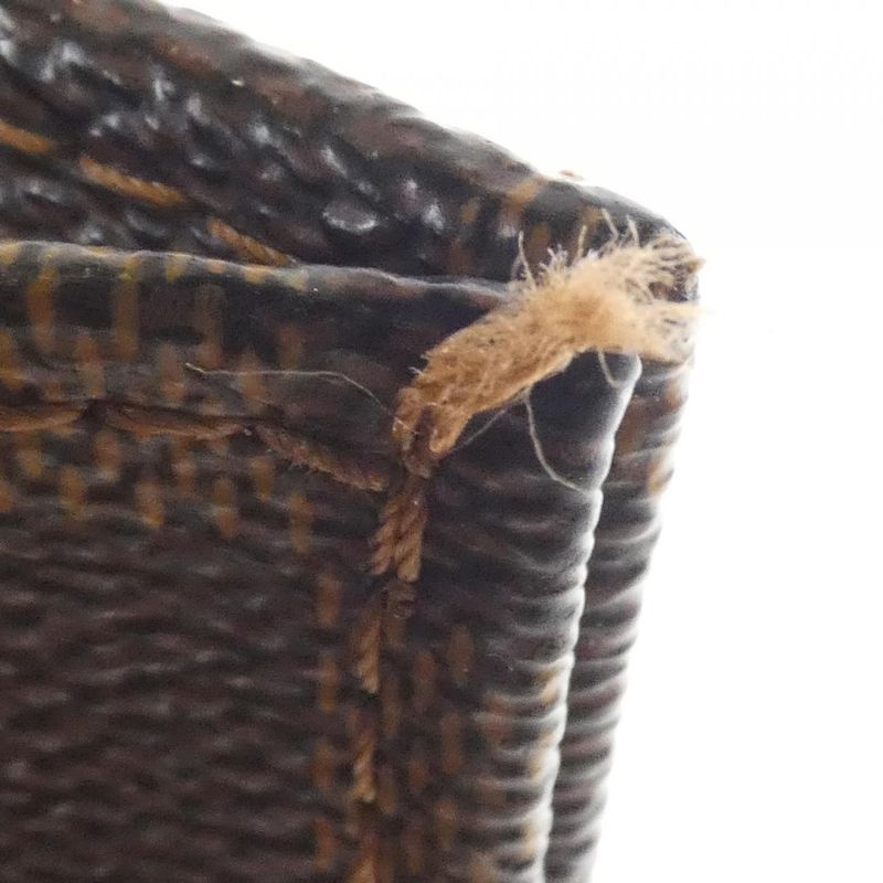 Louis Vuitton Damier Sac Plastic PM N41226 Bag