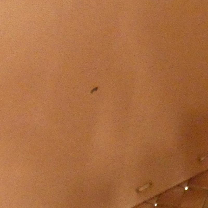 Bottega Veneta Cabas 115664 Bag