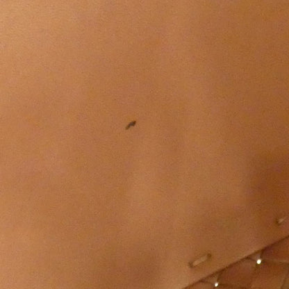 Bottega Veneta Cabas 115664 Bag