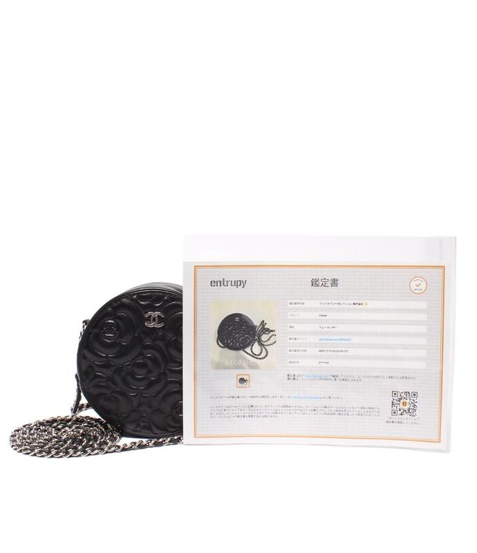 Chanel Chain Shoulder Bag Camellia Round Mini Pochette Silver Hardware 27th
