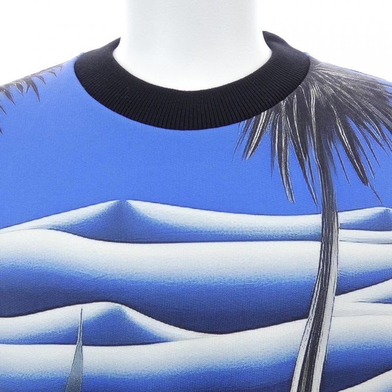 Louis Vuitton Printed Technical Cotton Sweatshirt Hry 24 wze 5