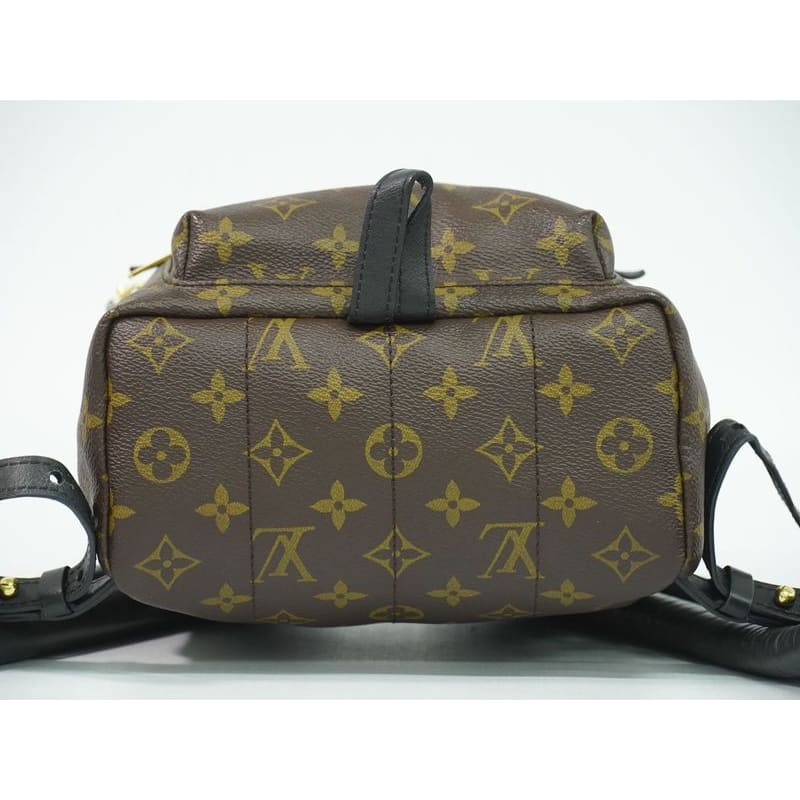 Louis Vuitton Palm Springs PM Monogram Rucksack Sac Backpack Brown