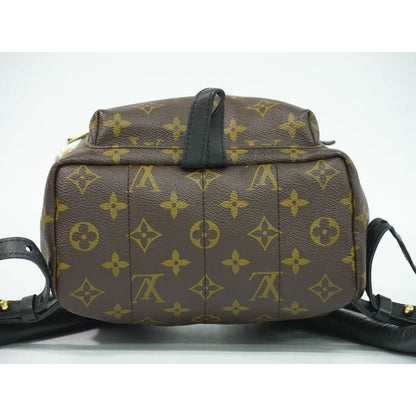 Louis Vuitton Palm Springs PM Monogram Rucksack Sac Backpack Brown