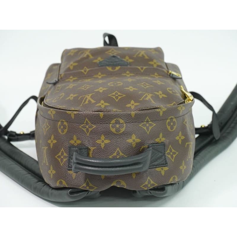 Louis Vuitton Palm Springs PM Monogram Rucksack Sac Backpack Brown