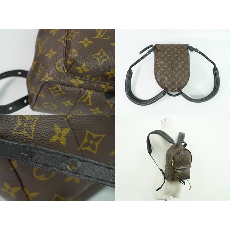Louis Vuitton Palm Springs PM Monogram Rucksack Sac Backpack Brown