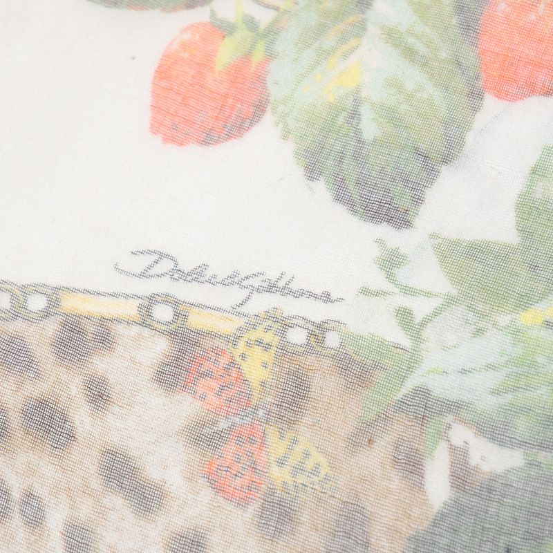 Dolce & Gabbana Shawl Leopard Botanical Long Scarf Brown