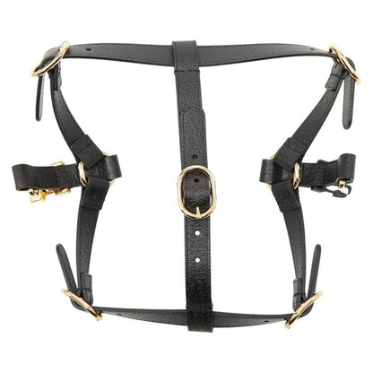 Gucci Interlocking G Pet Dog Harness Size M 692963 Black Leather Women's Gucci