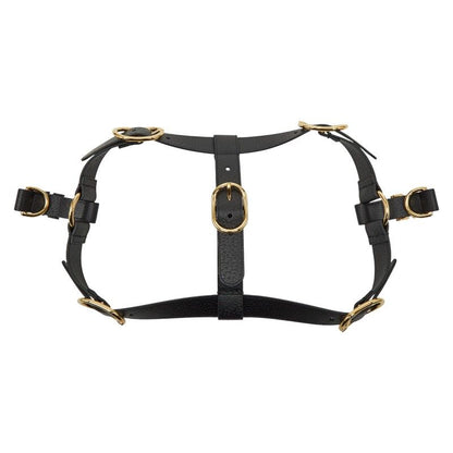 Gucci Interlocking G Pet Dog Harness Size XL 695253 Black Leather Women's Gucci
