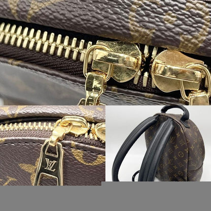 Louis Vuitton Backpack Women's Monogram Palm Spring Backpack PM Backpack Brown