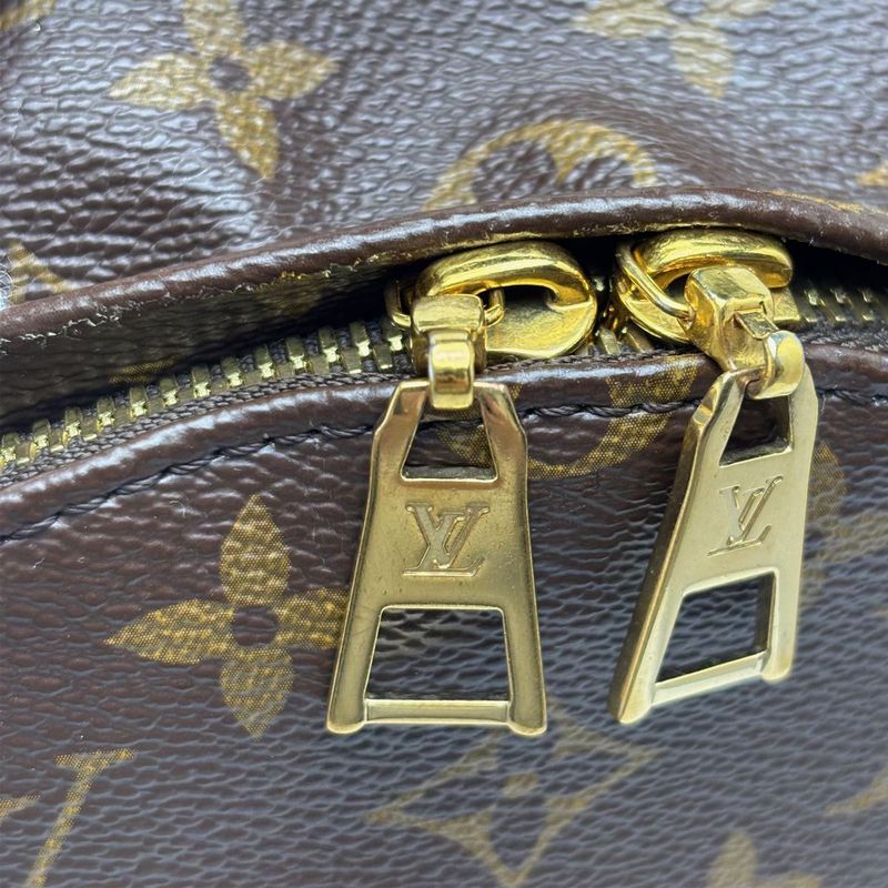 Louis Vuitton Backpack Monogram Palm Spring PM