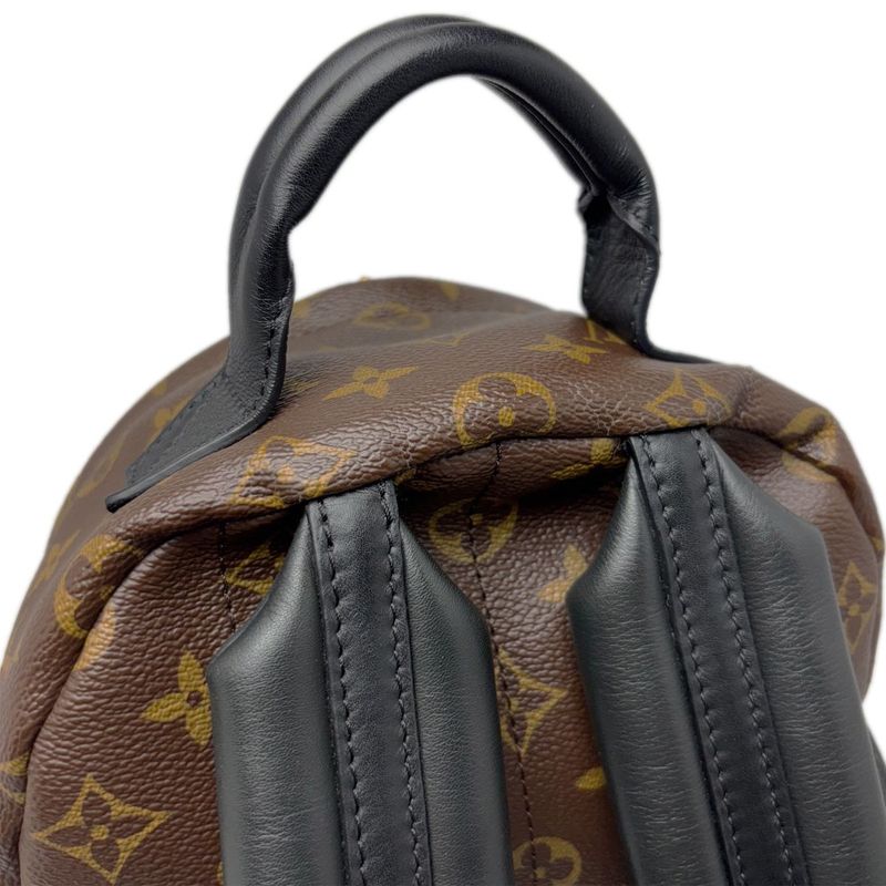 Louis Vuitton Backpack Monogram Palm Spring PM