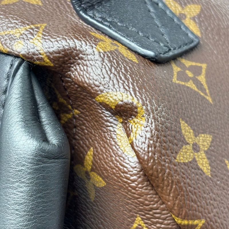Louis Vuitton Backpack Monogram Palm Spring PM